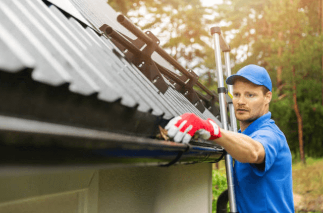 boise gutter service